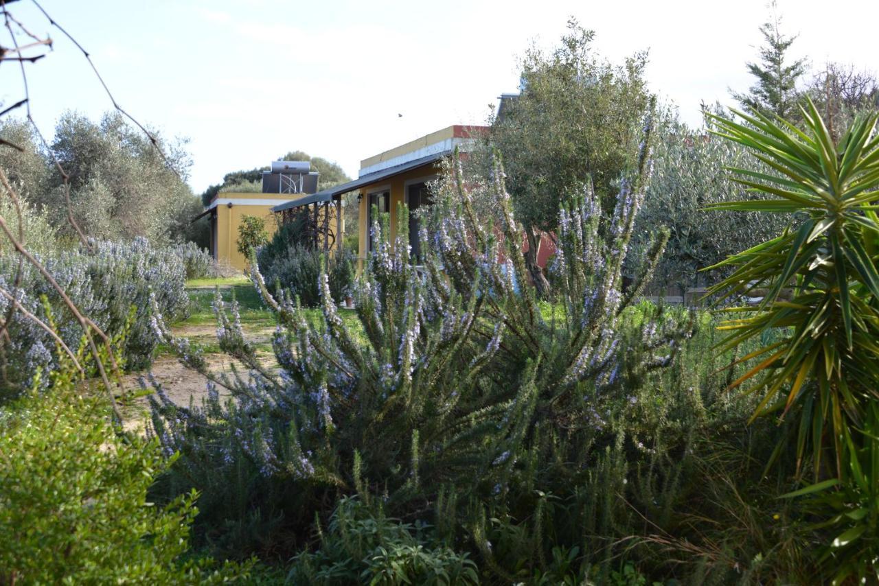 B&B Casa Per Ferie Villaggiocarovana 카스티아다스 외부 사진
