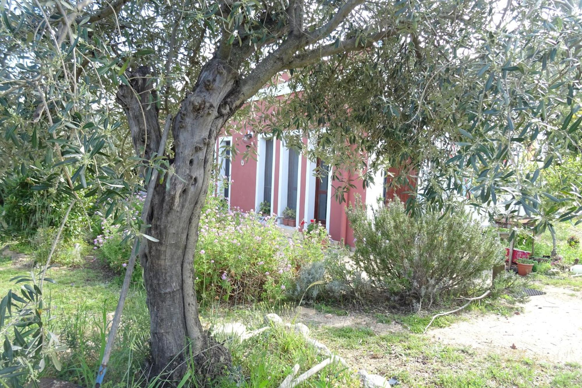 B&B Casa Per Ferie Villaggiocarovana 카스티아다스 외부 사진